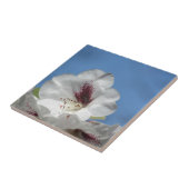 Weißes Rhododendron mit Burgund Fliese (Seite)