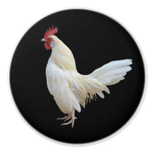 WEISSES ROOSTER* KERAMIKKNAUF
