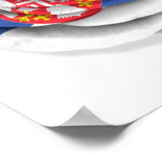 Weißes Rose-Flag Serbiens Poster (Ecke)
