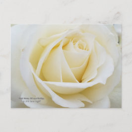 Weißes Rose-Foto Postkarte
