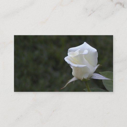 Weißes Rosengeschäft oder -Visitenkarte Visitenkarte (Vorderseite)