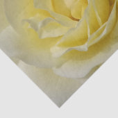 Weißes Rosengewirr Seidenpapier (Ausschnitt)