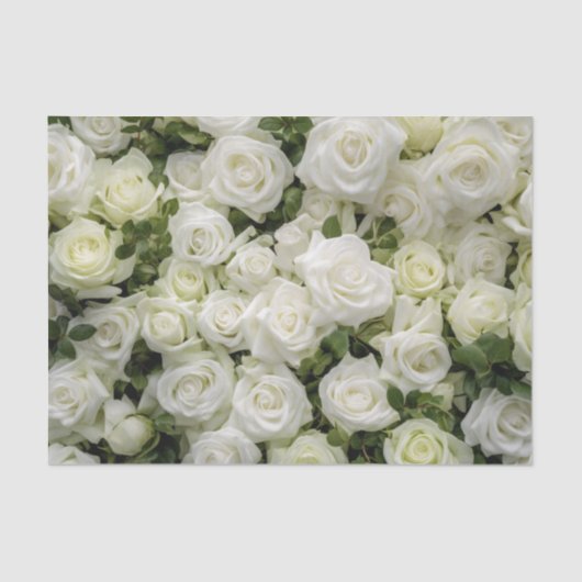 Weißes Roses-Gewebe Seidenpapier (Vorderseite)