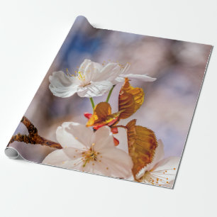 Weißes Sakura-Blume und Orangefarbene Blätter Geschenkpapier