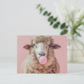 Weißes Schaf bläst rosa Gummiblase Postkarte (Stehend Vorderseite)