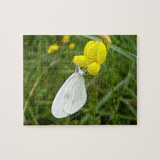 Weißes Schmetterling Foto Puzzle mit Geschenkboxen (Horizontal)