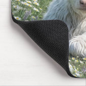 Weißes schottisches Hochlandkalb in Daisy Meadow Mousepad (Ecke)