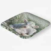 Weißes schottisches Hochlandkalb in Daisy Meadow Pappteller (Gewinkelt)