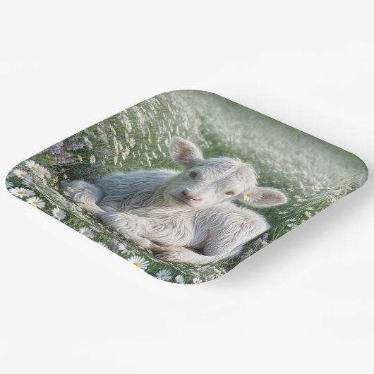 Weißes schottisches Hochlandkalb in Daisy Meadow Pappteller (Gewinkelt)