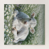 Weißes schottisches Hochlandkalb in Daisy Meadow Puzzle (Horizontal)