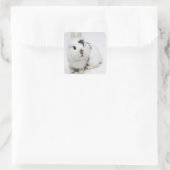 Weißes, schwarzes und braunes Kaninchen Quadratischer Aufkleber (Tasche)