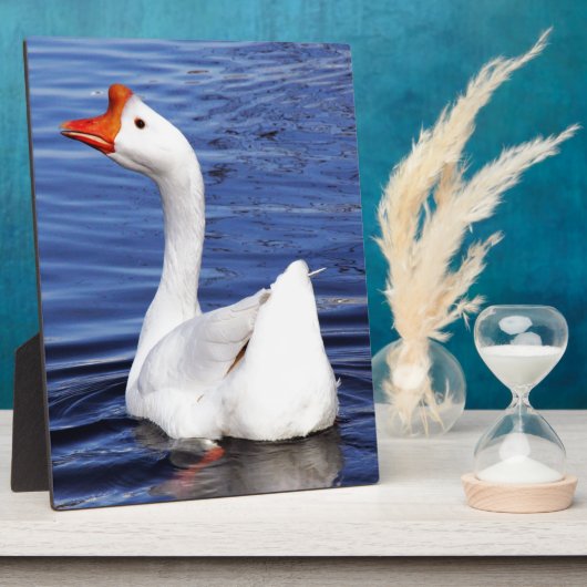 Weißes Schwimmgänse in blauem Wasser Fotoplatte (Seite)