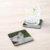 Weißes Siam-Kätzchen Getränkeuntersetzer (Rechte Seite)