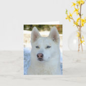 Weißes sibirischer Husky notecard oder Grußkarte Karte (Gelbe Blume)