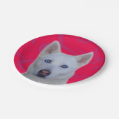 Weißes sibirisches Husky-Papier Pappteller (Schrägansicht)