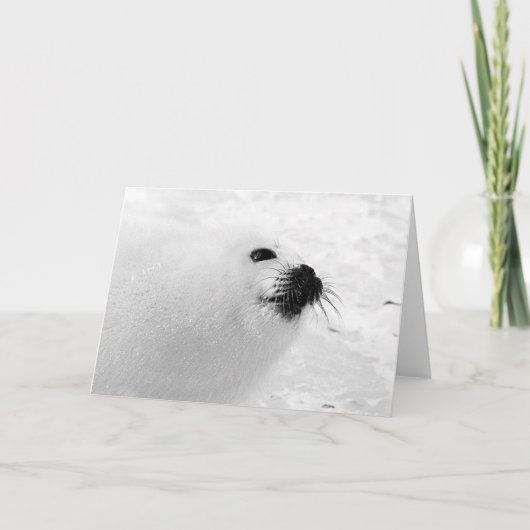 Weißes Siegel Feiertagskarte (Vorderseite)