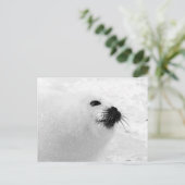 Weißes Siegel Postkarte (Stehend Vorderseite)