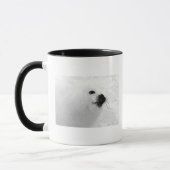 Weißes Siegel Tasse (Links)