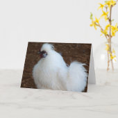 Weißes Silkie Huhn Karte (Gelbe Blume)