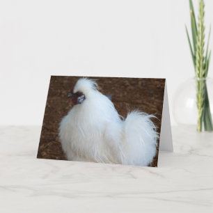Weißes Silkie Huhn Karte