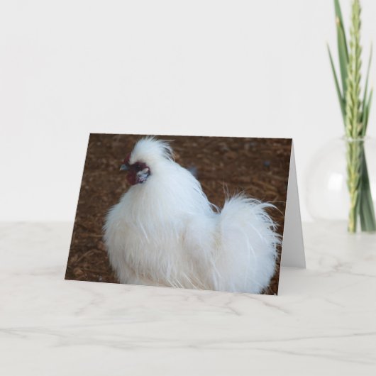Weißes Silkie Huhn Karte (Vorderseite)