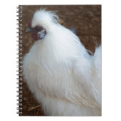 Weißes Silkie Huhn Notizblock (Vorderseite)