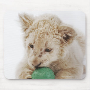 Weißes Spielen des Löwejungen (Pantheralöwe Mousepad