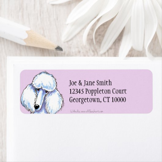 Weißes Standardpoodle einfach dünn (Insitu)