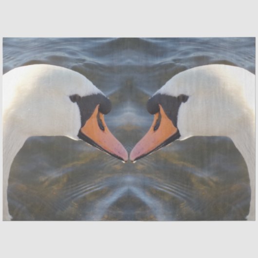 Weißes Swan-Tissue-Papier Seidenpapier (Vorderseite)