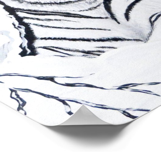 Weißes Tiger in Poster (Ecke)