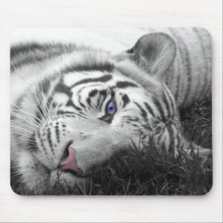 Weißes Tiger mousepad