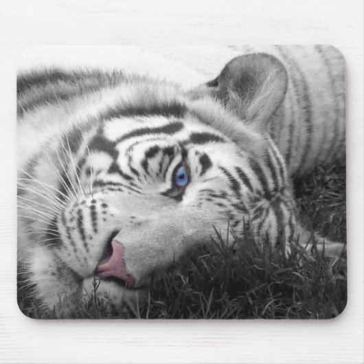 Weißes Tiger mousepad (Vorne)