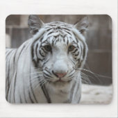 Weißes Tiger mousepad (Vorne)