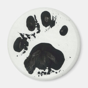 Weißes Tiger Paw Print Magnet