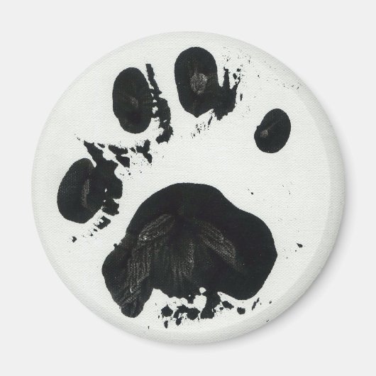 Weißes Tiger Paw Print Magnet (Vorne)