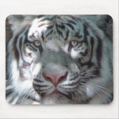 Weißes Tiger-Porträt Mousepad (Vorne)
