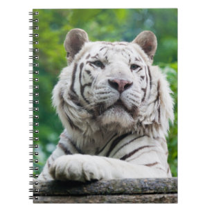 Weißes Tigernotizbuch Notizblock