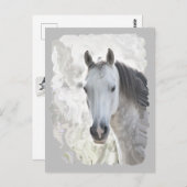 Weißes Traumpferd Postkarte (Vorne/Hinten)