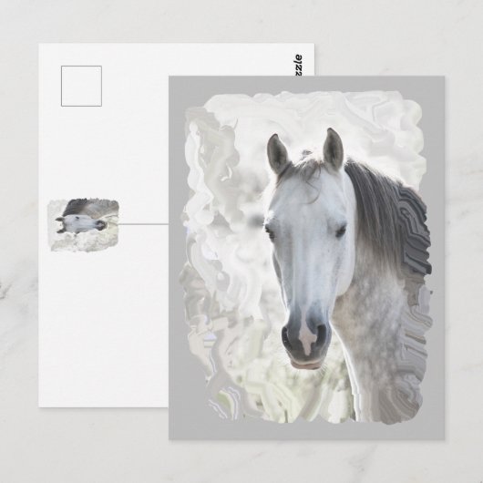 Weißes Traumpferd Postkarte (Vorne/Hinten)