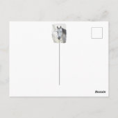 Weißes Traumpferd Postkarte (Rückseite)