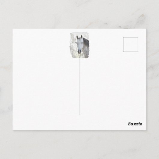 Weißes Traumpferd Postkarte (Rückseite)