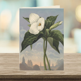 Weißes Trillium-Blumen-Tempel-der-Flora-Stil leer Karte