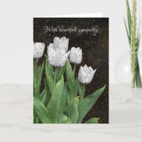 Weißes Tulips-Beileid mit Regentropfen