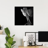 Weißes Tulips-Foto im schwarzen Hintergrund Poster (Heimbüro)