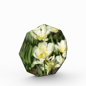 Weißes Tulpen-Foto Fotoblock (Links)