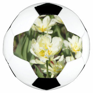 Weißes Tulpen-Foto Fußball