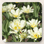 Weißes Tulpen-Foto Getränkeuntersetzer (Vorderseite)