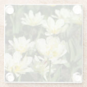 Weißes Tulpen-Foto Glasuntersetzer (Rückseite)