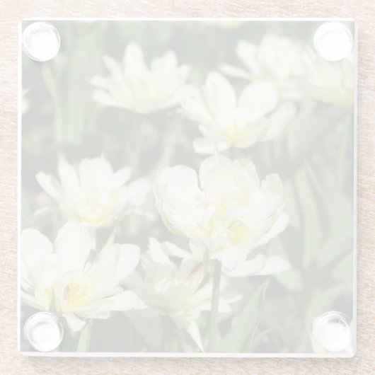 Weißes Tulpen-Foto Glasuntersetzer (Rückseite)