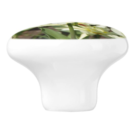 Weißes Tulpen-Foto Keramikknauf (Seitenansicht)